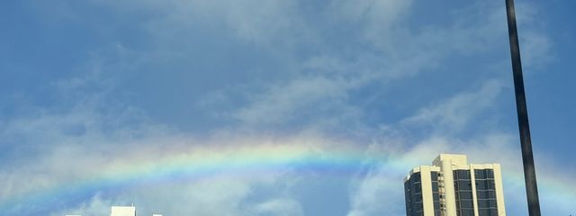 きゅーさんの壁紙画像