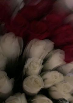   叶 わ な い 恋 だ か ら 