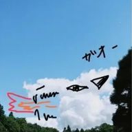 めこ　　さんのアイコン画像