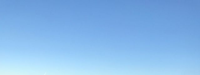 ほるんさんの壁紙画像