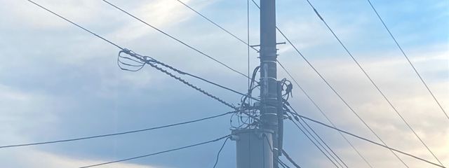 葵音さんの壁紙画像