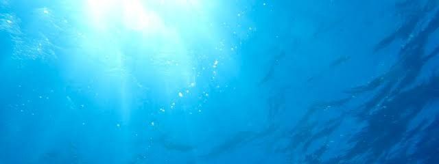 来月　海月さんの壁紙画像