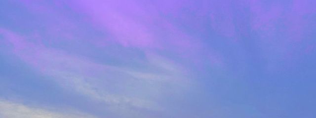 호 미さんの壁紙画像