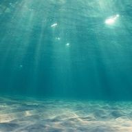 Rp 🍥🦖🌸🎤さんのアイコン画像