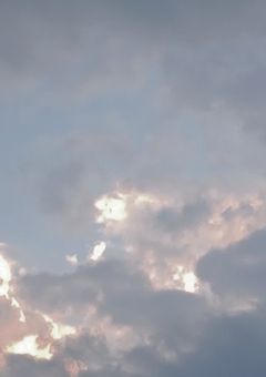 　あおいろだけが好きだった .　