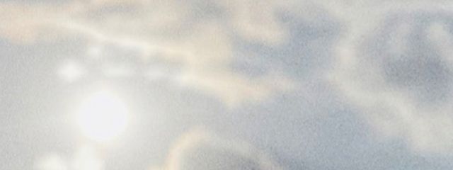 ｳﾇの毛先さんの壁紙画像