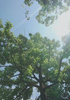 あなたじゃなきゃいけないんです。
