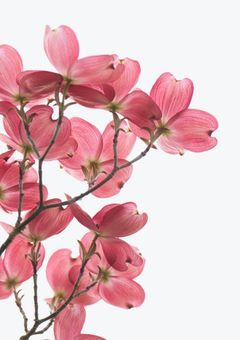 嵐の歌詞で ❧