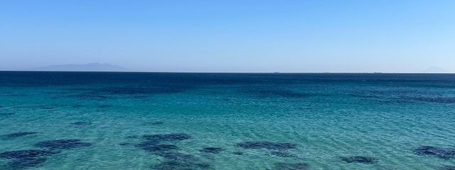 ぴねさんの壁紙画像