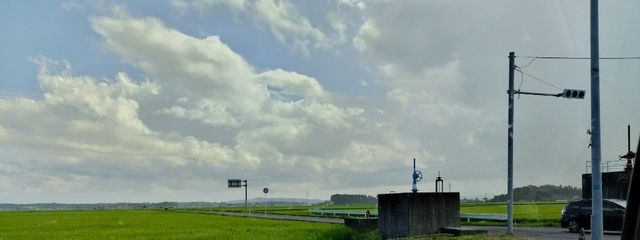 塩塩塩塩塩さんの壁紙画像