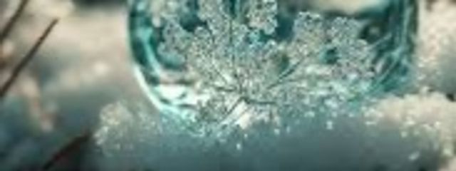 海斗🌊💜さんの壁紙画像