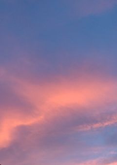 Snowとハーフエルフの魔法使い