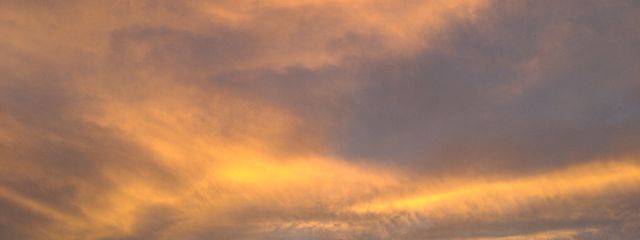 琴猫⚜️❄️˙˚ 𓆩 ✞ 𓆪 ˚˙さんの壁紙画像