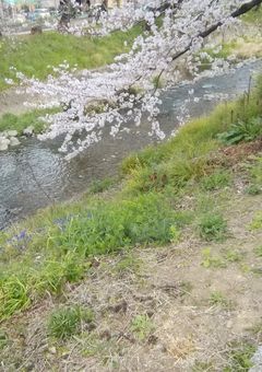 コメ欄で、話しましょ!