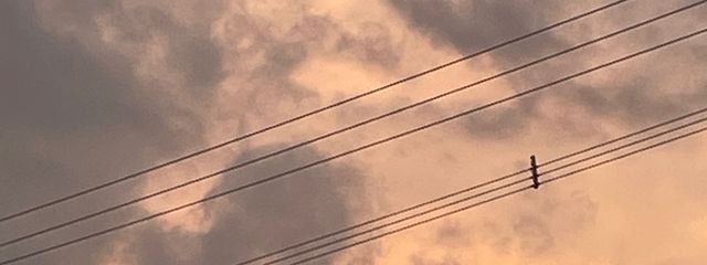 NATUKIさんの壁紙画像