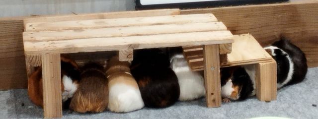 hikariさんの壁紙画像