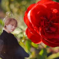 こざかなさんのアイコン画像