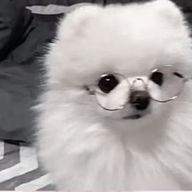 さんのアイコン画像