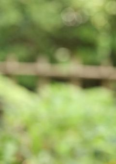 毒舌くんは愛される