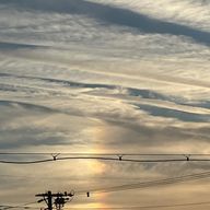 日和檸檬さんのアイコン画像