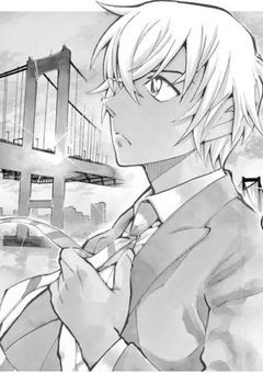 僕が拾った彼女は超重要人物だった?!!【名探偵コナン】