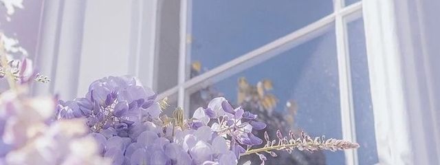 えすさんの壁紙画像