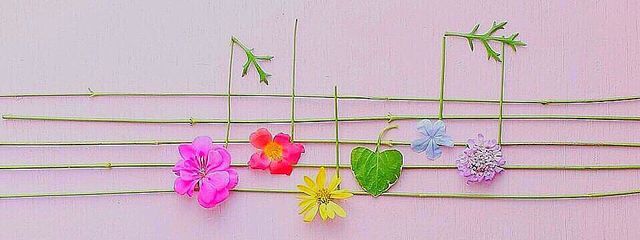 虹音さんの壁紙画像