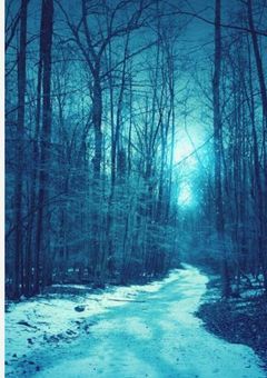 蒼の獣と緋の少年