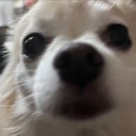 kraさんのアイコン画像