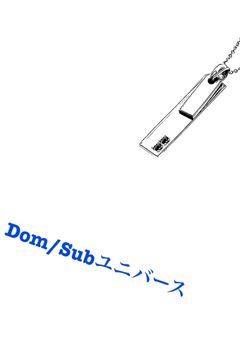 Dom/Subユニバース