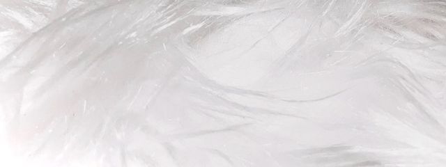 ﾎﾟﾃﾄﾌﾗｲさんの壁紙画像