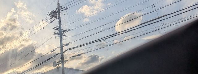 あんずさんの壁紙画像