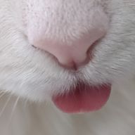 ありあずさんのアイコン画像