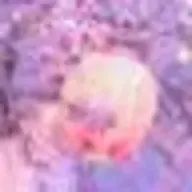 勾陣さんのアイコン画像