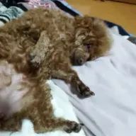 彩夏さんのアイコン画像