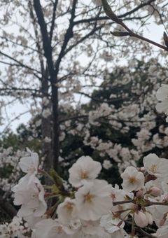不登校について思うこと