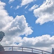 海苔男さんのアイコン画像
