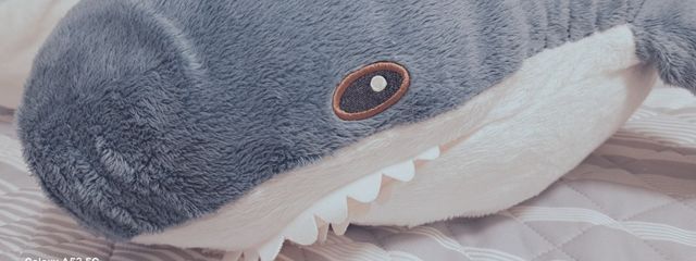 はるさんの壁紙画像