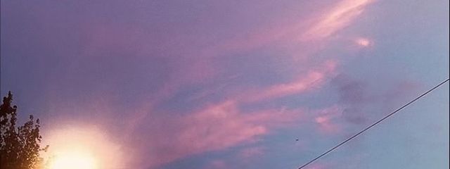 プリン🍮さんの壁紙画像