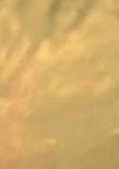 ゲームして遊びましょ？