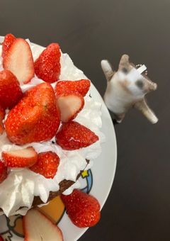 ぬしぬしぬっしーとレックーザの日常