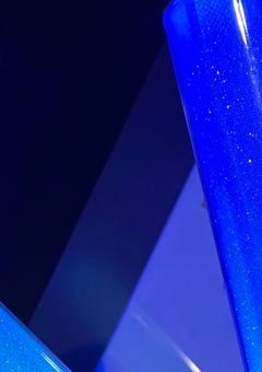 寒色組、なんかお偉いさんだった件