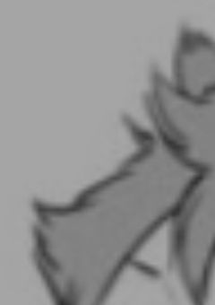 合宿施設スタッフ　"鬼強"　な　件