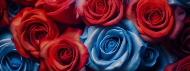 narumi🌹🍼yrgm担さんの壁紙画像