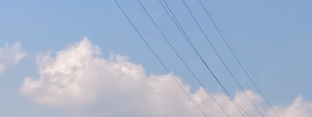 りぃさんの壁紙画像
