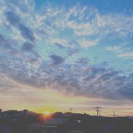 owl_さんのアイコン画像