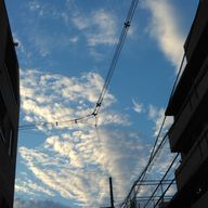 亜洋 天璃 Anata Ameriさんのアイコン画像