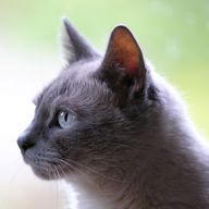 🚀さんのアイコン画像