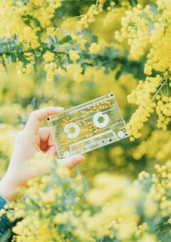 貴方の傍は甘いから。