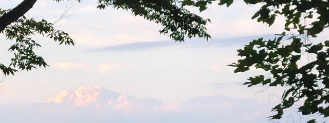 リンゴ君さんの壁紙画像